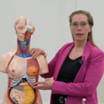 Examentraining Schoonheidsspecialist